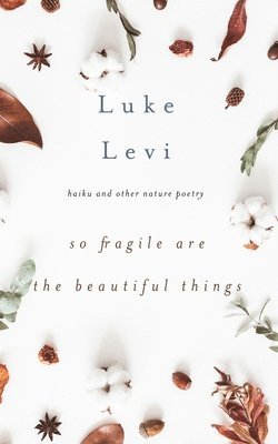 Luke Levi - So Fragile Are the Beautiful Things, Häftad