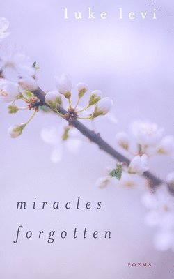 Luke Levi - Miracles Forgotten, Häftad