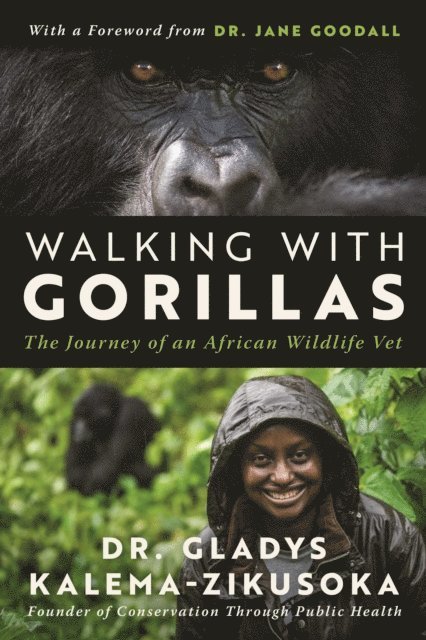 Gladys Kalema-Zikusoka - Walking With Gorillas, E-bok