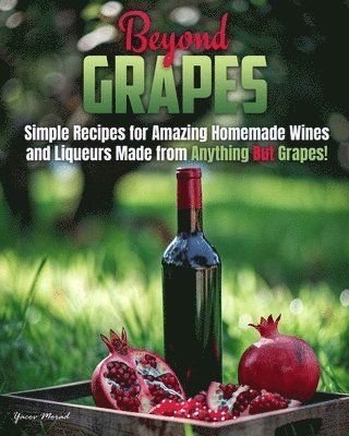 Yacov Morad - Beyond Grapes: How to Make Wine Out of Anything But Grapes, Häftad