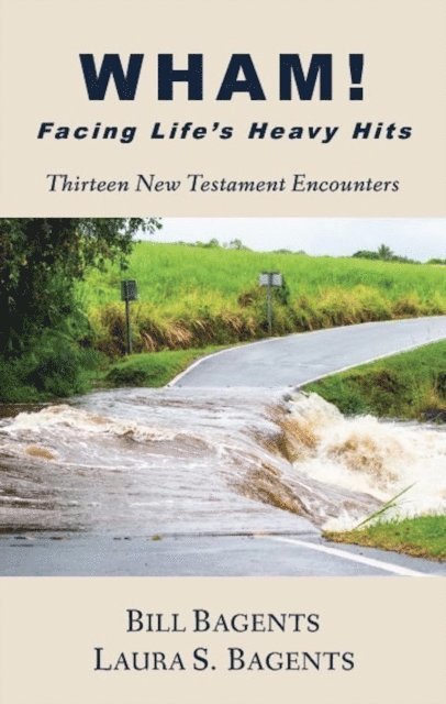 Laura S Bagents, Bill Bagents - WHAM! Facing Life's Heavy Hits, E-bok