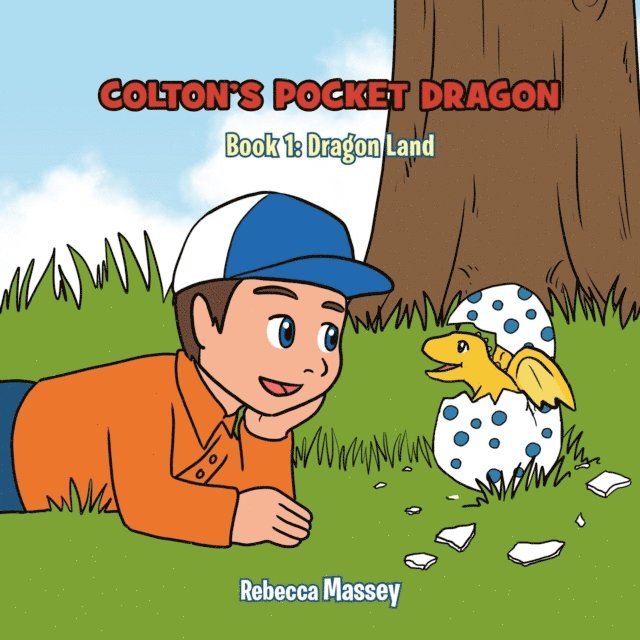 Rebecca C. Massey - COLTONS POCKET PRAGON Book 1 Dragon Land, E-bok
