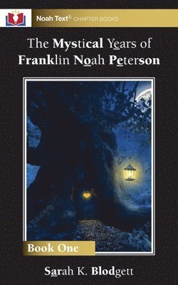 Sarah K Blodgett - Mystical Years of Franklin Noah Peterson, Häftad