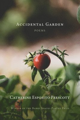 Catherine Esposito Prescott - Accidental Garden, Häftad