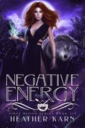 Negative Energy