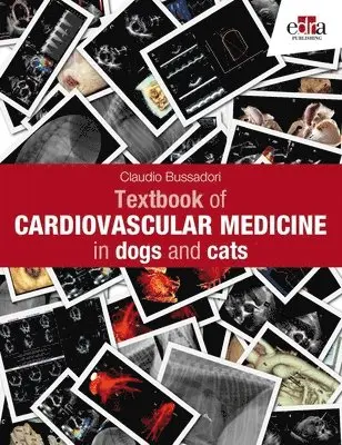 Claudio Bussadori - Textbook of Cardiovascular Medicine in dogs and cats, Inbunden. Tillgänglighet: Lägg i varukorg
