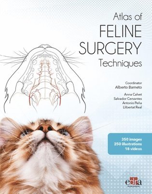 Alberto Barneto, Anna Calvet, Salvador Cervantes, Antonio Peña, Llibertat Real - Feline surgery, Inbunden