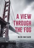 A View through the Fog