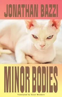 Minor Bodies