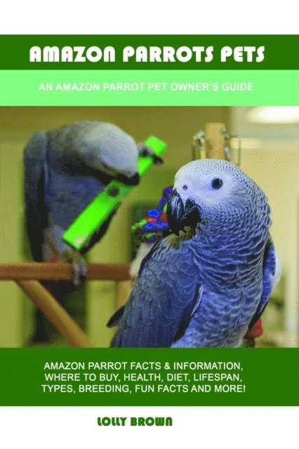 Amazon Parrots Pets