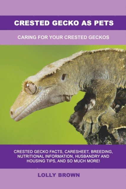 Lolly Brown - Crested Gecko as Pets, E-bok. Tillgänglighet: Lägg i varukorg