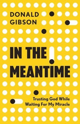 Donald Gibson - In the Meantime, Häftad
