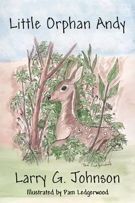 Larry G Johnson - Little Orphan Andy, Häftad. Tillgänglighet: Lägg i varukorg