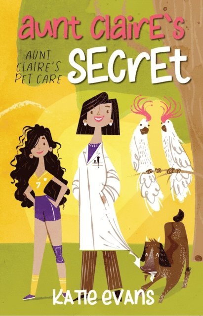 Katie Evans - Aunt Claire's Secret, E-bok