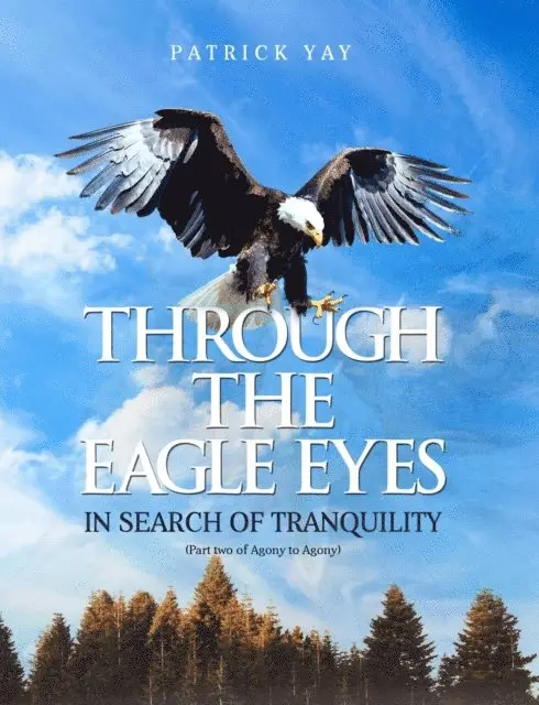 Patrick Yay - Through the Eagle Eyes, E-bok. Tillgänglighet: Lägg i varukorg