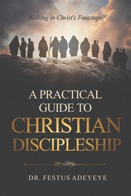 Festus Adeyeye - Practical Guide to Christian Discipleship, Häftad