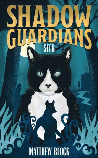 Matthew Block - Shadow Guardians - Seer, E-bok