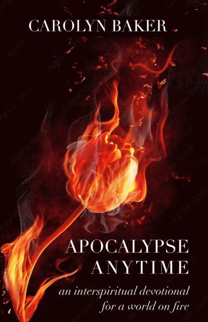 Carolyn Baker - Apocalypse Anytime, E-bok