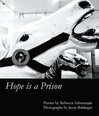 Rebecca Schumejda - Hope is a Prison, Häftad. Tillgänglighet: Lägg i varukorg