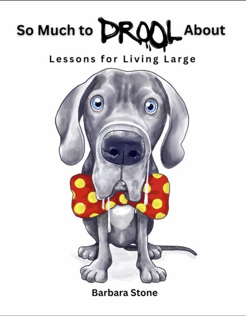 Barbara Stone - So Much to Drool About: Lessons for Living Large, E-bok