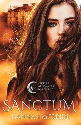 Hannah McBride - Sanctum, Häftad. Tillgänglighet: Lägg i varukorg