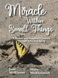 Miracle Within Small Things: A Mother and Daughter's Journey Through Loss and Aging