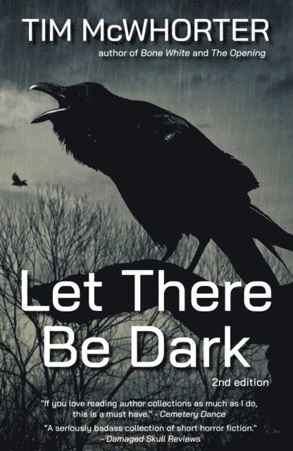 Tim McWhorter - Let There Be Dark, E-bok