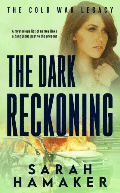 Sarah Hamaker - Dark Reckoning, E-bok
