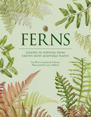 Fay-Wei Li, Jacob S. Suissa - Ferns, Inbunden