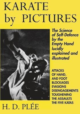 Karate by Pictures