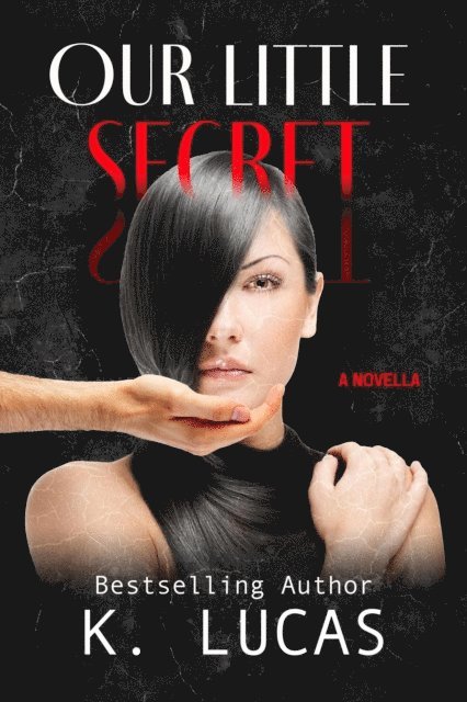 K. Lucas - Our Little Secret, E-bok