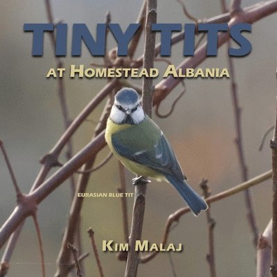 Kim Malaj - Tiny Tits at Homestead Albania, Häftad