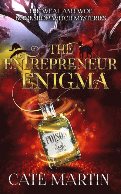Entrepreneur Enigma