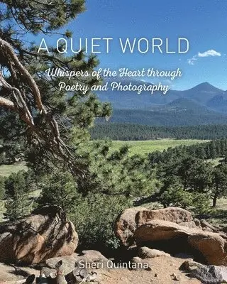 Sheri Quintana - Quiet World, Häftad. Tillgänglighet: Lägg i varukorg