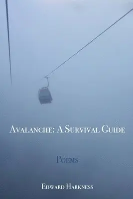 Edward Harkness - Avalanche, Häftad. Tillgänglighet: Lägg i varukorg