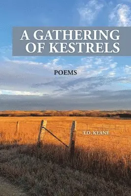 T D Keane, Michael Poage - Gathering of Kestrels, Häftad. Tillgänglighet: Lägg i varukorg