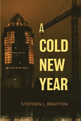 Stephen L Brayton - Cold New Year, Häftad