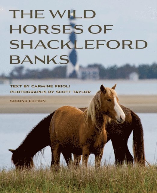 Scott Taylor, Carmine Prioli - Wild Horses of Shackleford Banks, E-bok