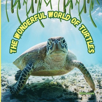 Mimi Jones - Wonderful World of Turtles, Häftad. Tillgänglighet: Lägg i varukorg