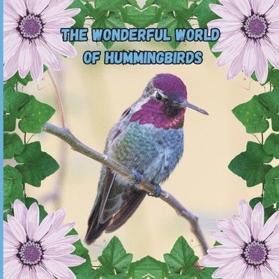 Mimi Jones - Wonderful World of Hummingbirds, Häftad. Tillgänglighet: Lägg i varukorg
