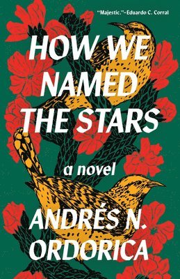 Andrés N. Ordorica - How We Named the Stars, Häftad