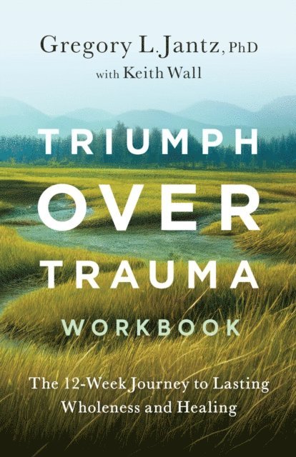 Gregory Jantz - Triumph Over Trauma Workbook, E-bok