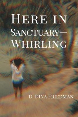 D Dina Friedman - Here in Sanctuary-Whirling, Häftad