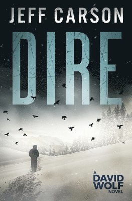 Jeff Carson - Dire, Häftad. Tillgänglighet: Lägg i varukorg