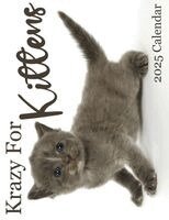 B Patrick - Krazy For Kittens 2025 Calendar, Häftad. Tillgänglighet: Lägg i varukorg