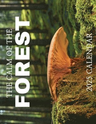 B Patrick - Calm of the Forest 2025 Calendar, Häftad. Tillgänglighet: Lägg i varukorg