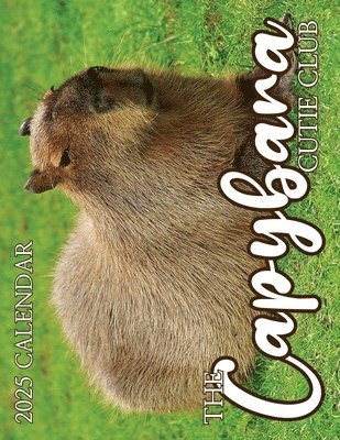 B Patrick - Capybara Cutie Club 2025 Calendar, Häftad. Tillgänglighet: Lägg i varukorg