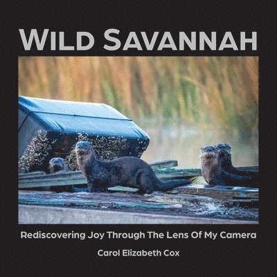 Carol Elizabeth Cox - Wild Savannah, Häftad