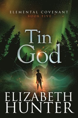 Elizabeth Hunter - Tin God, Häftad