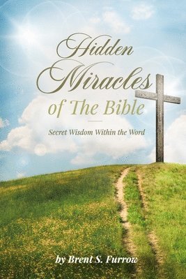 Brent S Furrow - Hidden Miracles of the Bible, Häftad